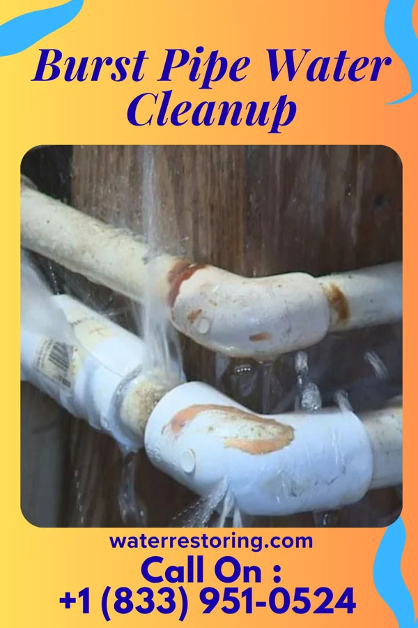 Burst Pipe Water Cleanup in Man, WV