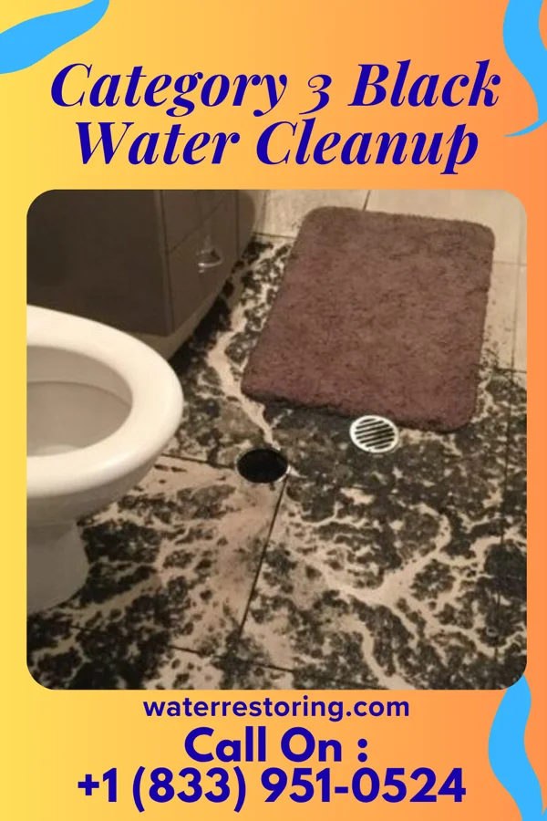 Category 3 Black Water Cleanup in Man, WV