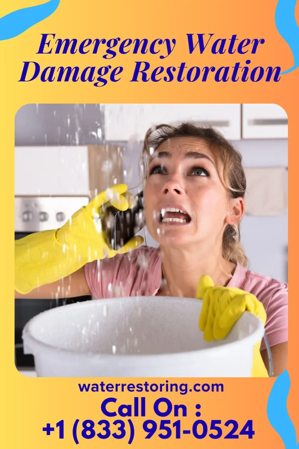 Emergency Water Damage Restoration in Man, WV