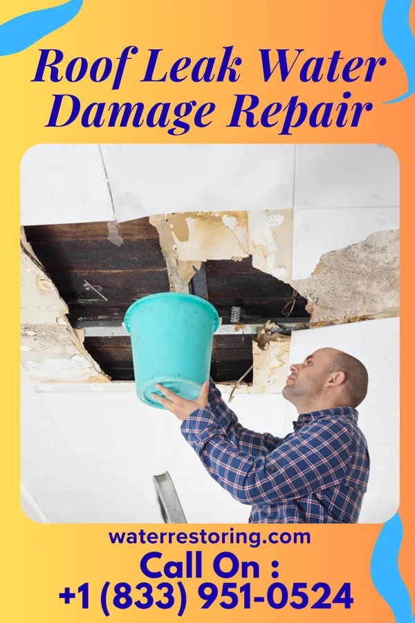 Roof Leak Water Damage Repair in Man, WV