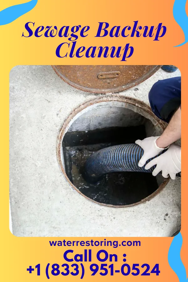 Sewage Backup Cleanup in Man, WV