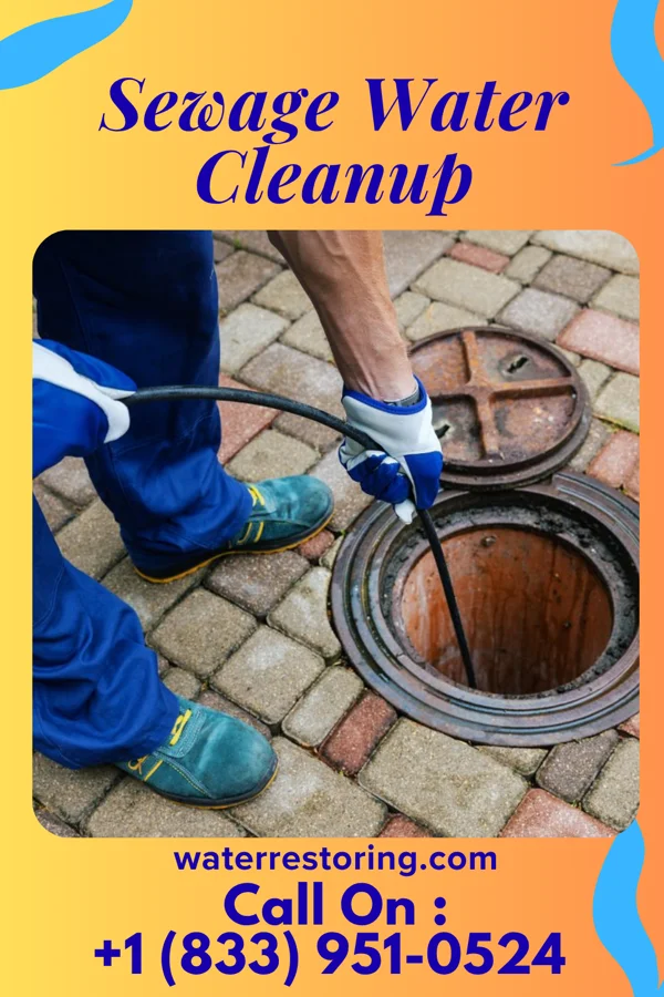 Sewage Water Cleanup in Man, WV